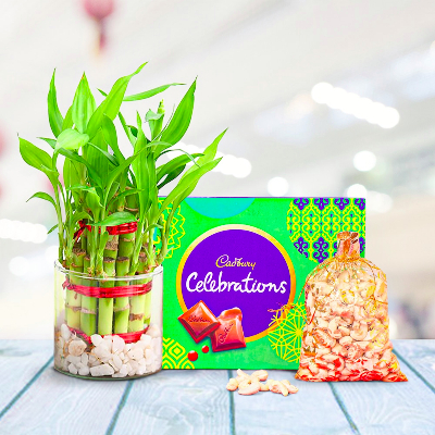 Secret Celebrations Gift