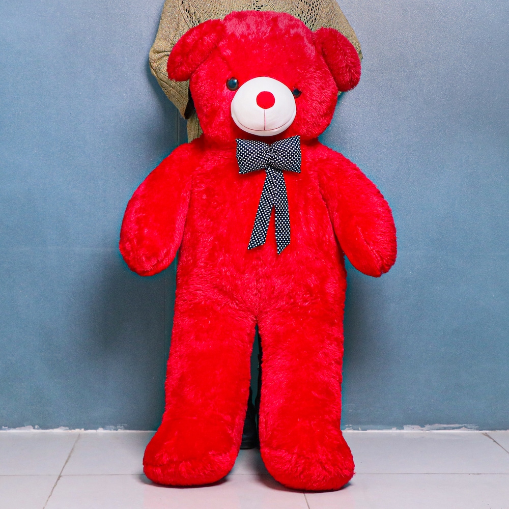 Charismatic Teddy